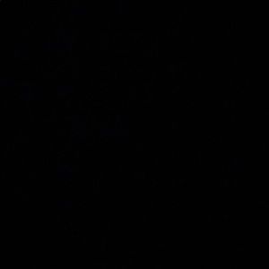 Meet your Posher, Erick